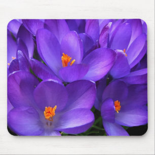 Mousepad Flores roxas de jardim de croco
