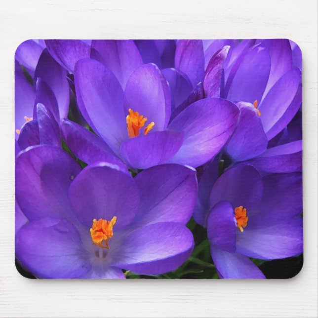 Mousepad Flores roxas de jardim de croco (Frente)