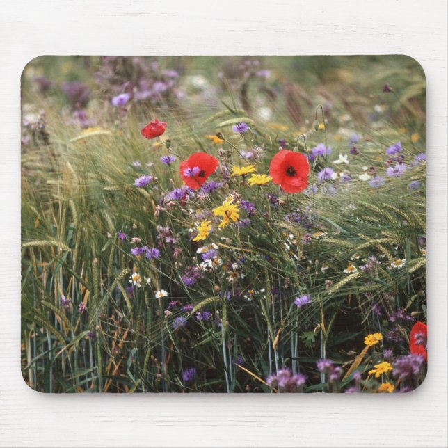 Mousepad Flores selvagens (Frente)