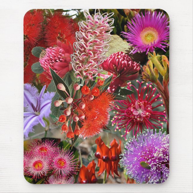 Mousepad Flores Selvagens Australianas (Frente)