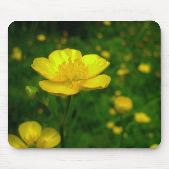 Mousepad Flores Selvagens Bolsas - Presentes de Computador (Frente)