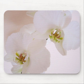 Mousepad Flores selvagens brancas da orquídea do