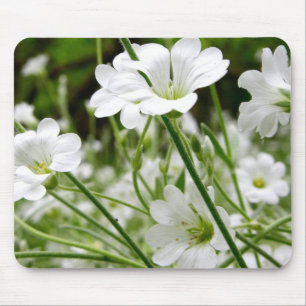 Mousepad Flores selvagens brancas simples