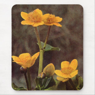Mousepad Flores selvagens: Marsh Marigold
