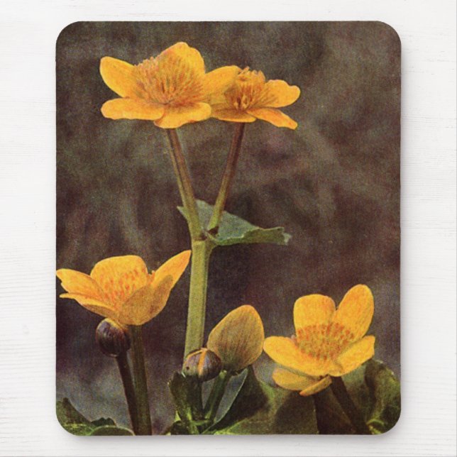 Mousepad Flores selvagens: Marsh Marigold (Frente)