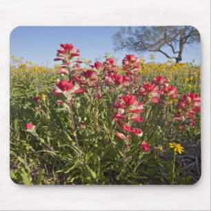Mousepad Flores silvestres à beira da estrada no Texas, pri