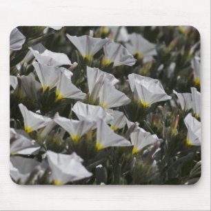 Mousepad flores silvestres brancas