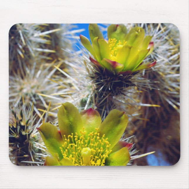 Mousepad Flores Silvestres de Cacto Cholla Prateado (Frente)