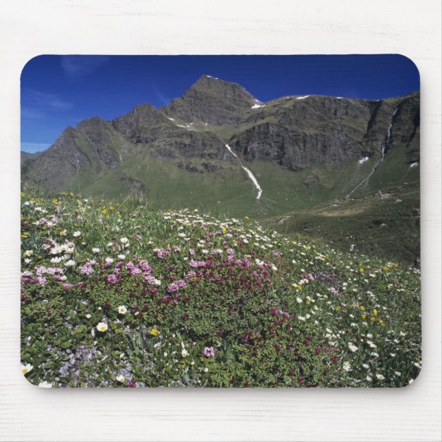 Mousepad Flores silvestres, florescendo, Alpes, Suíça (Frente)