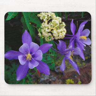 Mousepad Flores Silvestres Mutantes Columbine