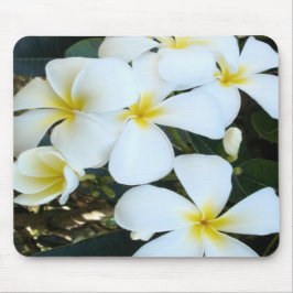 Mousepad Flores tropicais havaianas