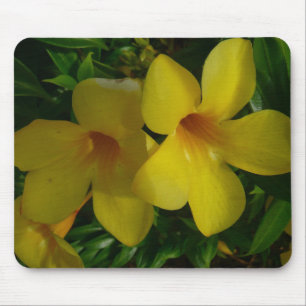 Mousepad Flores tropicais II ouros