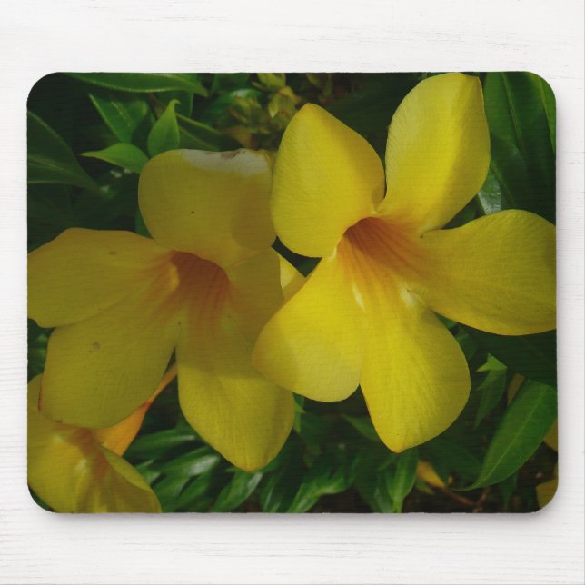 Mousepad Flores tropicais II ouros (Frente)