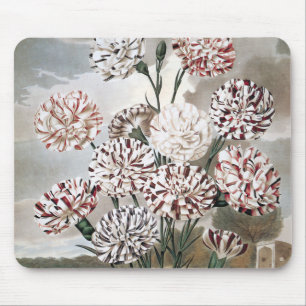 Mousepad Flores Variegadas Vintage com Céu Cinza