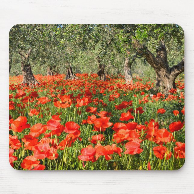 Mousepad Flores vermelhas da papoila sob oliveiras velhas (Frente)