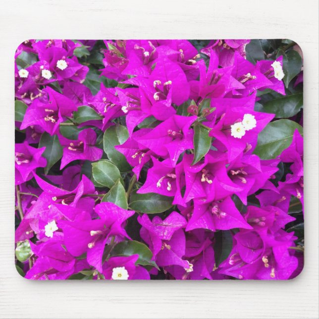 Mousepad Flores Vibrantes de Bougainvillea Roxa (Frente)