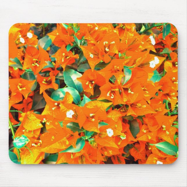 Mousepad Flores Vibrantes de Laranja Bougainvillea (Frente)