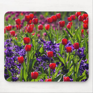 Mousepad Floresce papoilas
