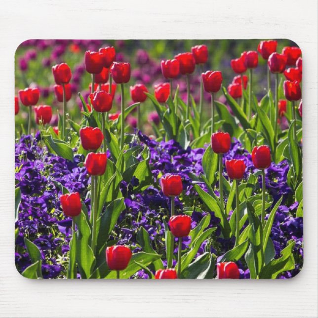 Mousepad Floresce papoilas (Frente)