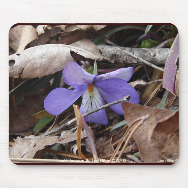 Mousepad FloresSilvestres Violeta Pata de Pássaro Hot Sprin (Frente)