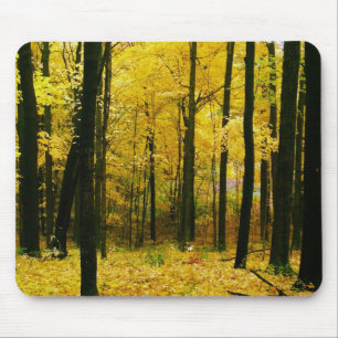 Mousepad Floresta Amarela de outono