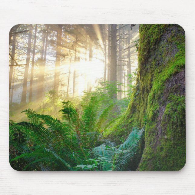 Mousepad Floresta Costeira do Pacífico, Oregon (Frente)