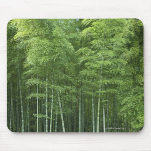 Mousepad Floresta de bambu