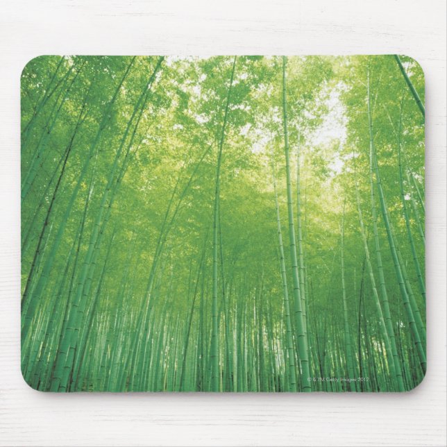 Mousepad Floresta de bambu 2 (Frente)