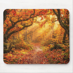 Mousepad Floresta de Outono