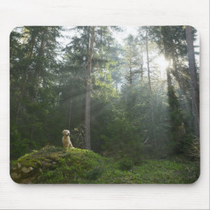Mousepad Floresta do pinho do cão do golden retriever