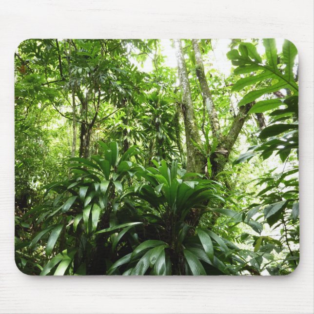 Mousepad Floresta Dominicana I Natureza Verde Tropical (Frente)