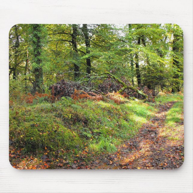 Mousepad Floresta em outubro (Frente)
