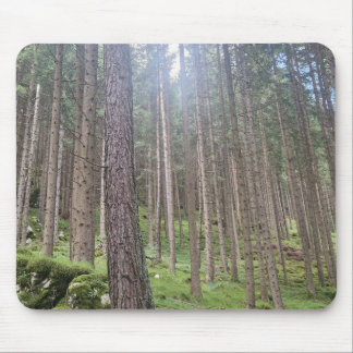 Mousepad Floresta Ensolarada - Fotografia de Bosque Verde M