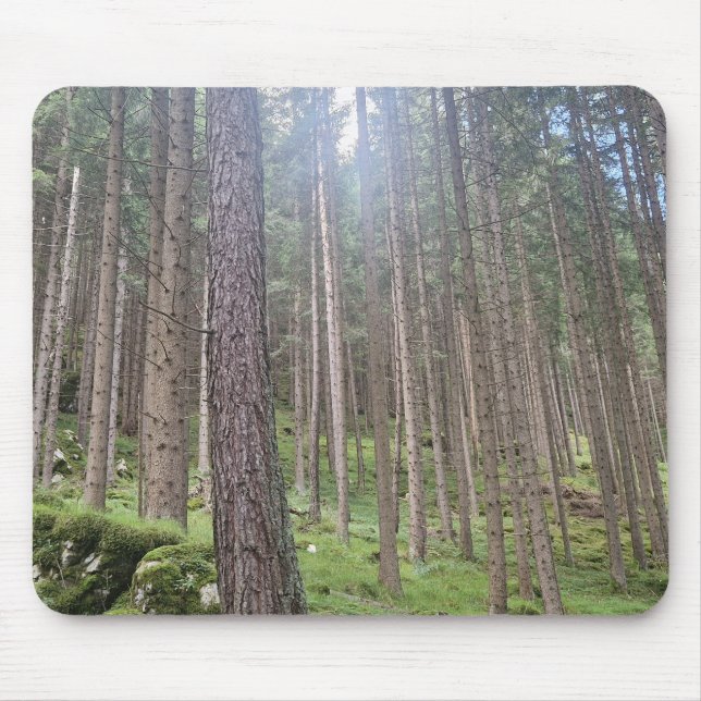 Mousepad Floresta Ensolarada - Fotografia de Bosque Verde M (Frente)
