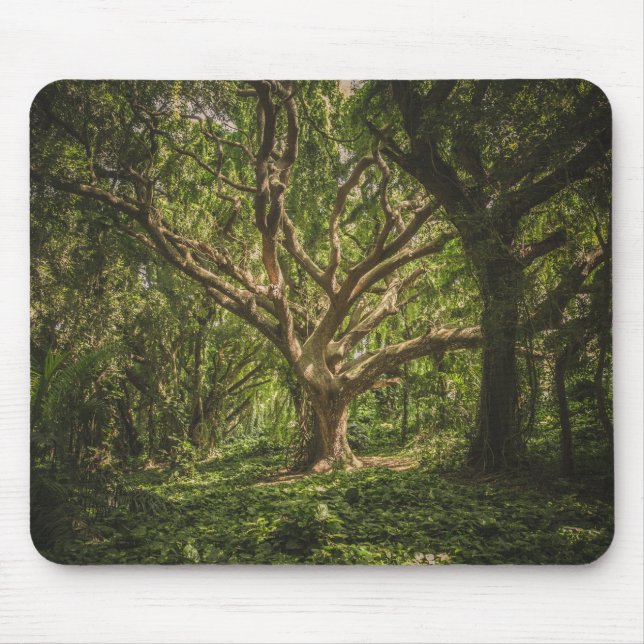 Mousepad Floresta Grande (Frente)
