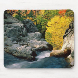 Mousepad Floresta Nacional da Montanha Branca