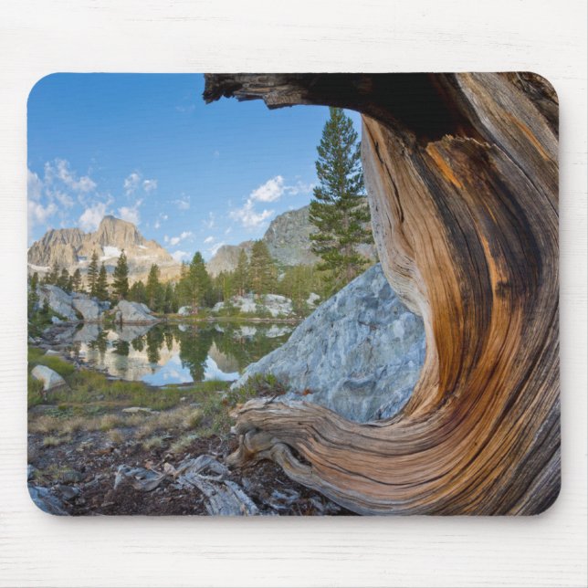 Mousepad Floresta Nacional de Inyo, Califórnia (Frente)