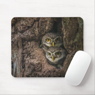 Mousepad Florestas Duas Corujas
