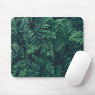 Mousepad Florestas   Ferns De Madeira