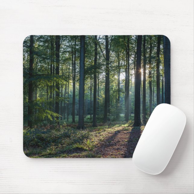 Mousepad Florestas | Floresta Negra Alemanha (Com mouse)