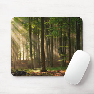 Mousepad Florestas Florestas do outono