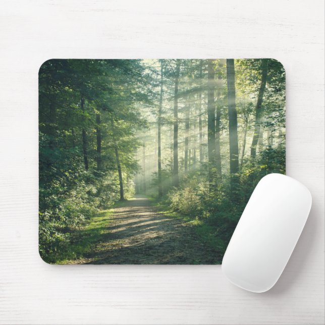 Mousepad Florestas | Forest Path Hamburg Alemanha (Com mouse)