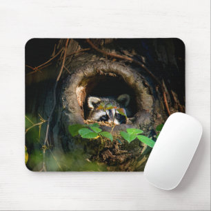 Mousepad Florestas   Raccoon Peeking