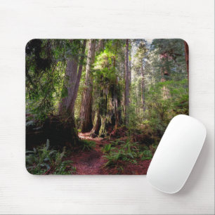 Mousepad Florestas Sequoias Forest California