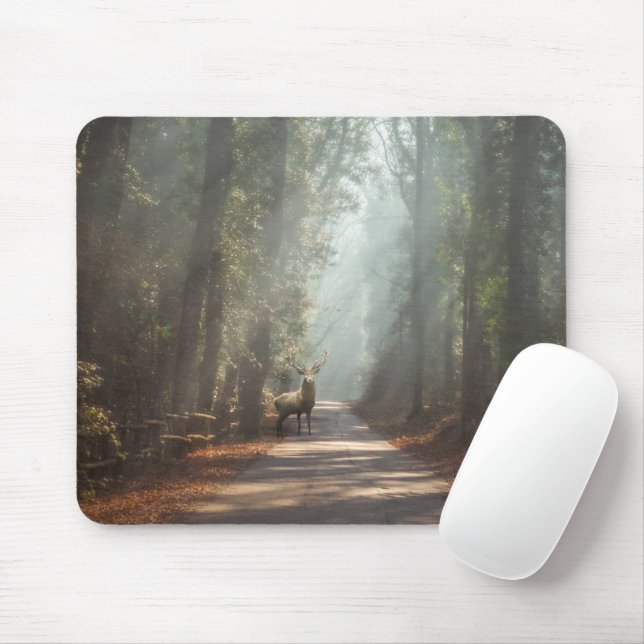 Mousepad Florestas | Stag Woodland (Com mouse)