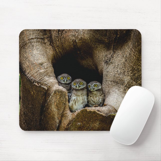 Mousepad Florestas | Três Corujas (Com mouse)