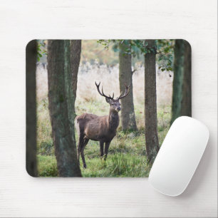 Mousepad Florestas Woodlands & Red Deer