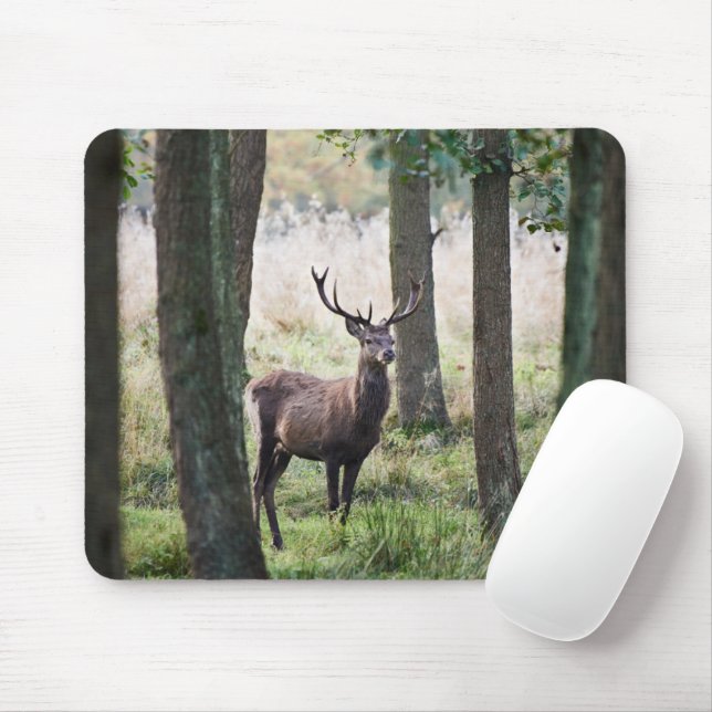 Mousepad Florestas | Woodlands & Red Deer (Com mouse)