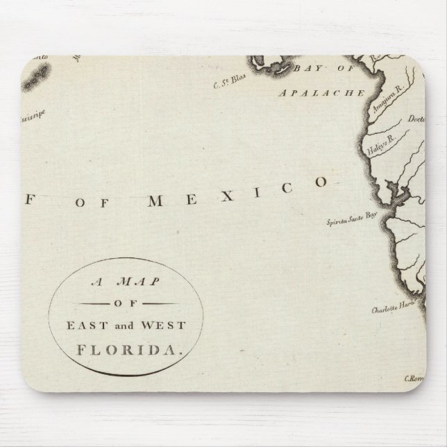 Mousepad Florida Oriental e Ocidental (Frente)