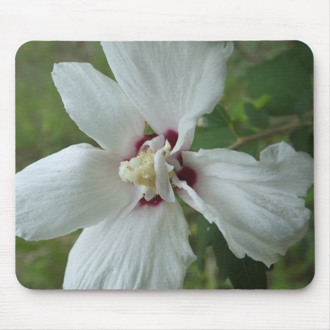 Mousepad Florpad (Frente)